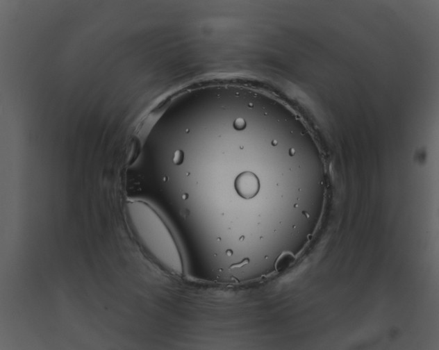 X0000093581361200710221455