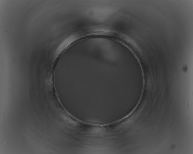 X0000093581362200710221455