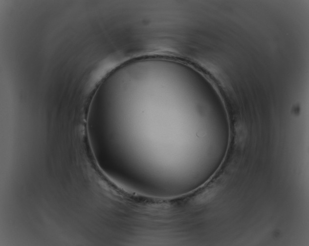 X0000093581363200710221455