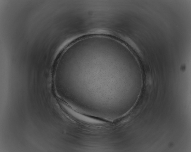 X0000093581364200710221455