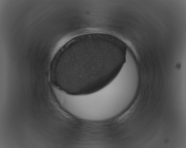 X0000093581365200710221455