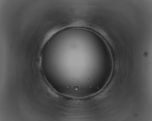 X0000093581366200710221455