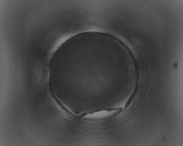 X0000093581367200710221455