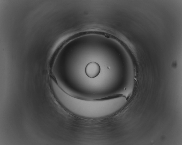 X0000093581368200710221455