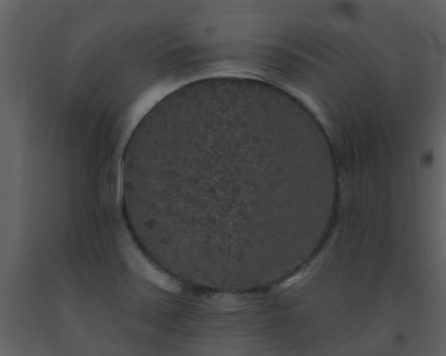 X0000093581371200710221455