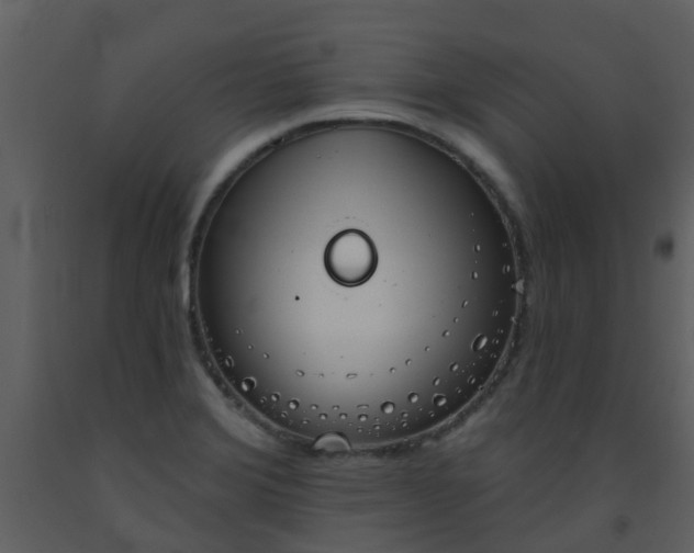 X0000093581372200710221455