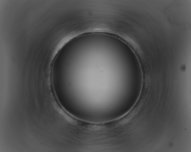 X0000093581374200710221455