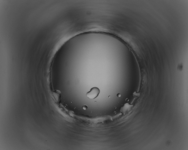 X0000093581375200710221455
