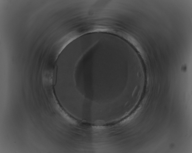 X0000093581377200710221455