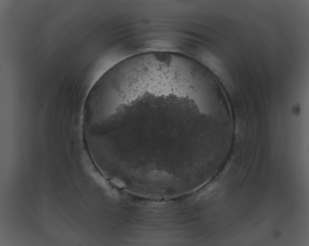 X0000093581378200710221455