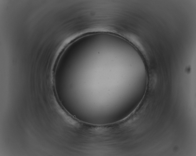 X0000093581380200710221455