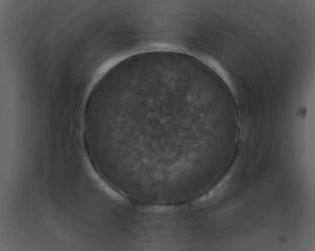 X0000093581381200710221455