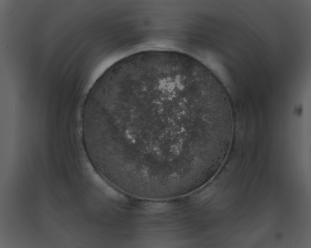 X0000093581382200710221455