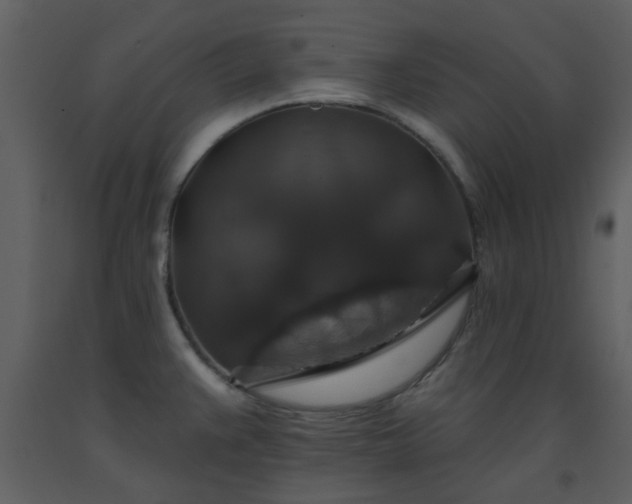 X0000093581383200710221455