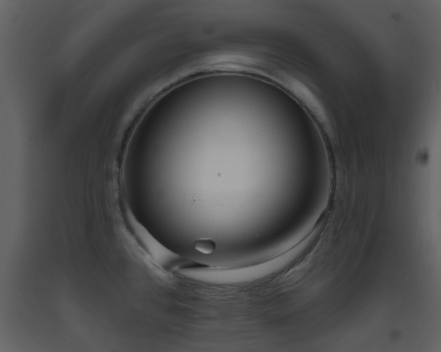 X0000093581384200710221455