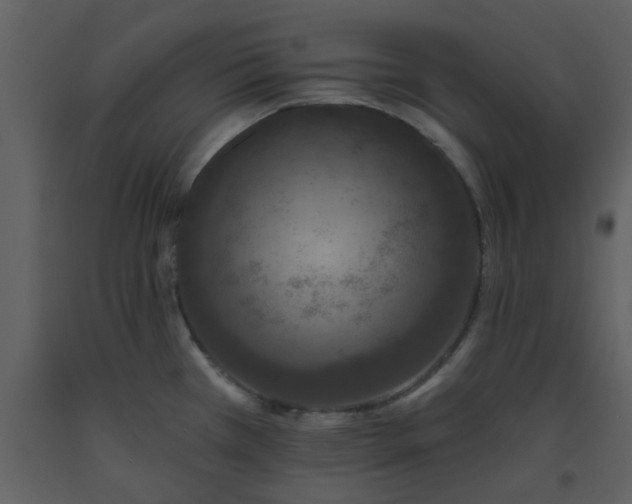 X0000093581385200710221455
