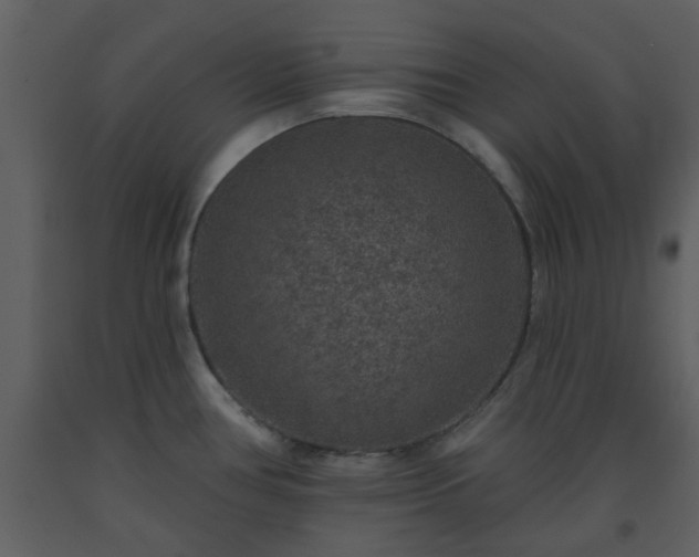 X0000093581386200710221455