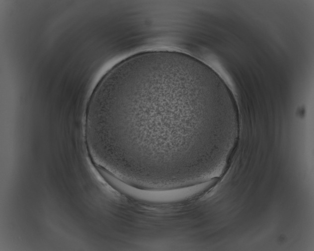 X0000093581388200710221455