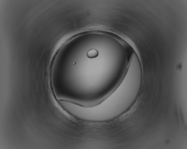 X0000093581389200710221455