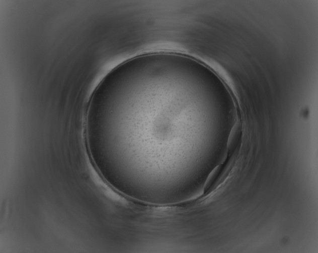X0000093581390200710221455