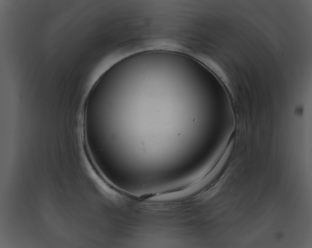 X0000093581391200710221455