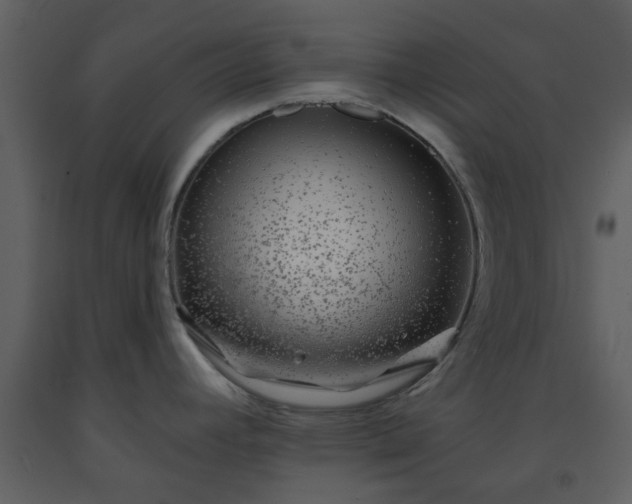 X0000093581392200710221455
