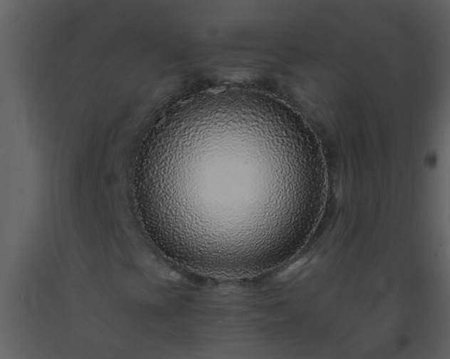 X0000093581393200710221454