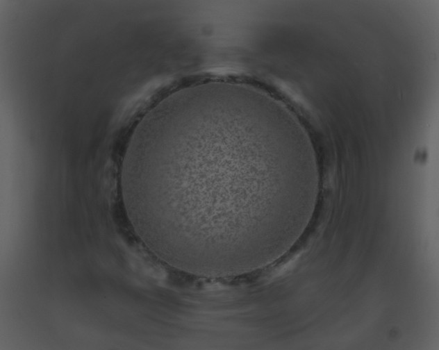 X0000093581398200710221454