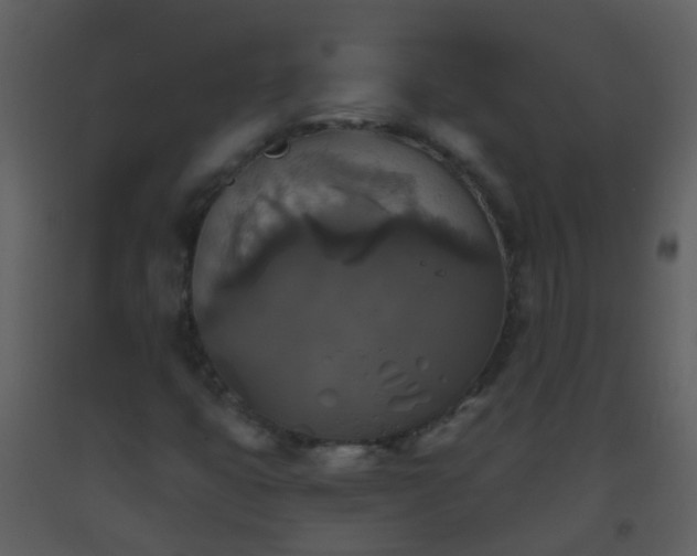 X0000093581399200710221454
