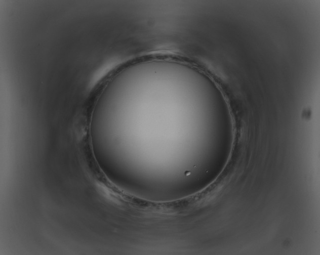 X0000093581400200710221454