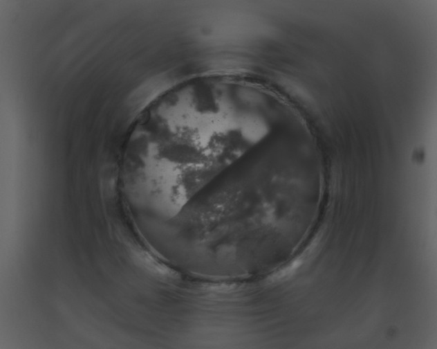 X0000093581401200710221454