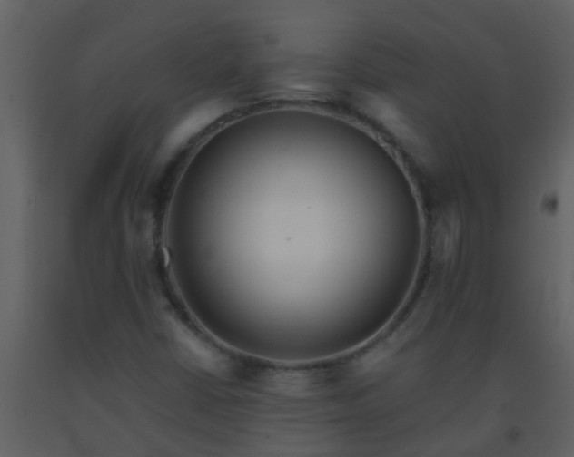X0000093581402200710221454