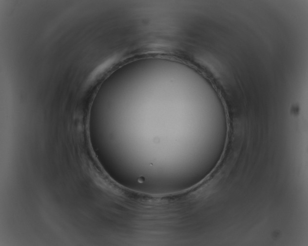 X0000093581403200710221454