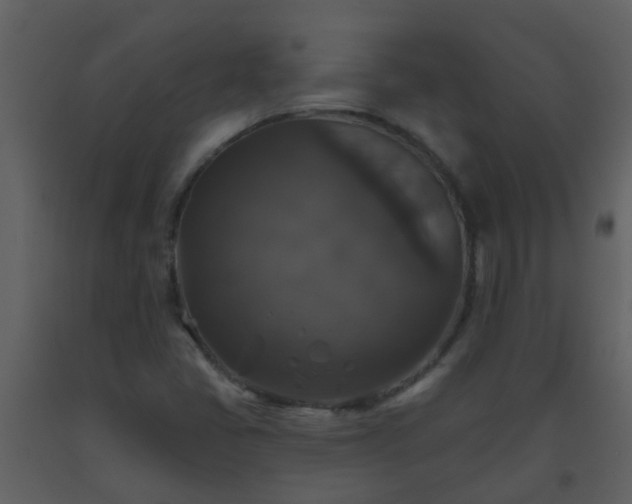 X0000093581405200710221454