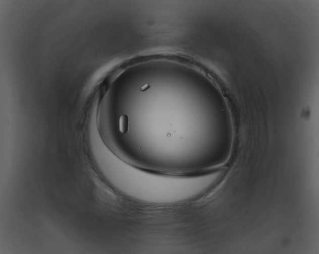 X0000093581406200710221454