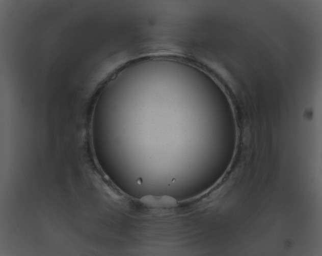 X0000093581407200710221454