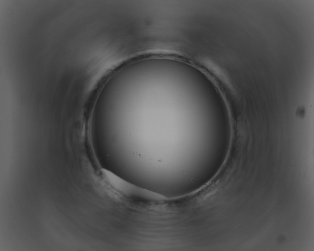 X0000093581408200710221454