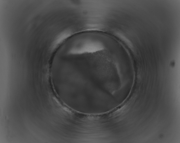 X0000093581411200710221454