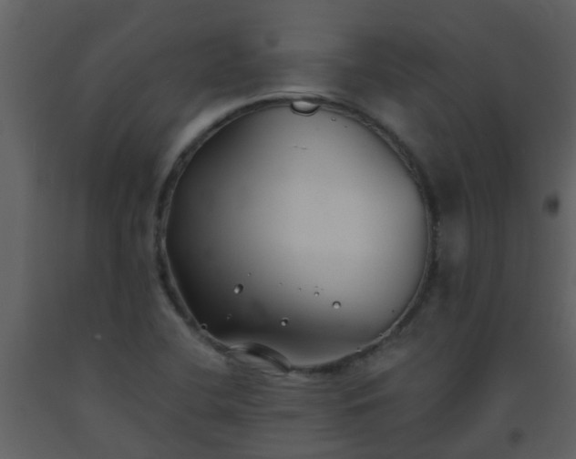 X0000093581412200710221454