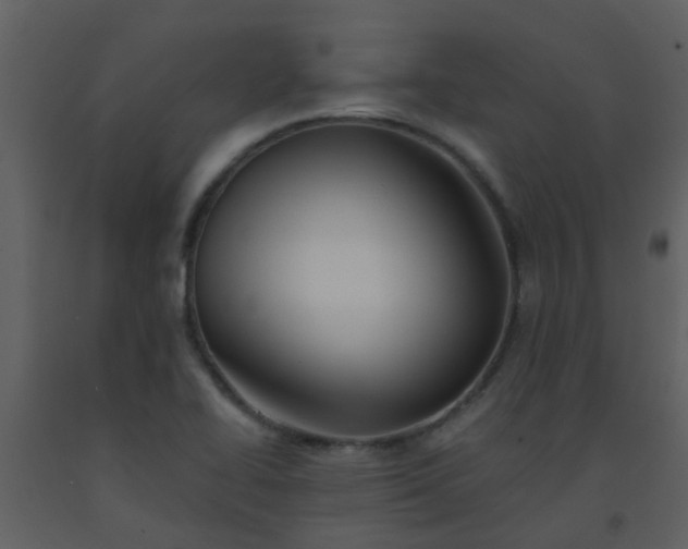 X0000093581414200710221454