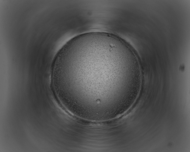 X0000093581415200710221454