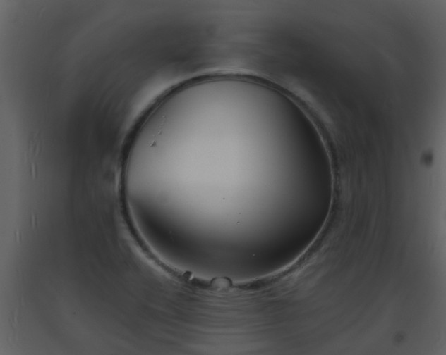 X0000093581416200710221454