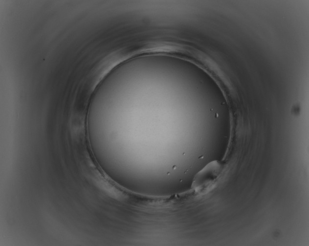 X0000093581417200710221454
