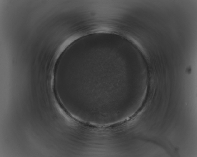 X0000093581418200710221454