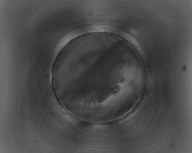 X0000093581419200710221454