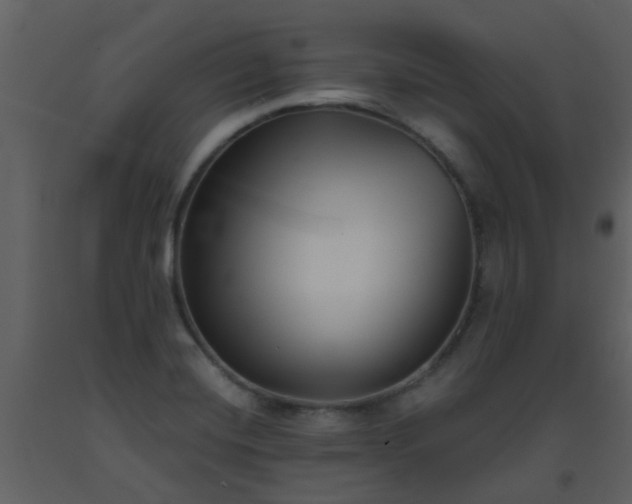 X0000093581420200710221454