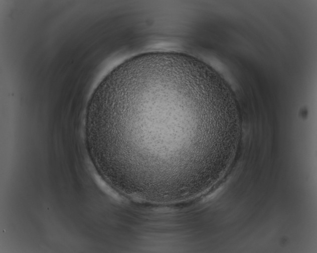 X0000093581421200710221454