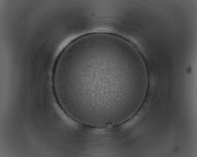 X0000093581422200710221454