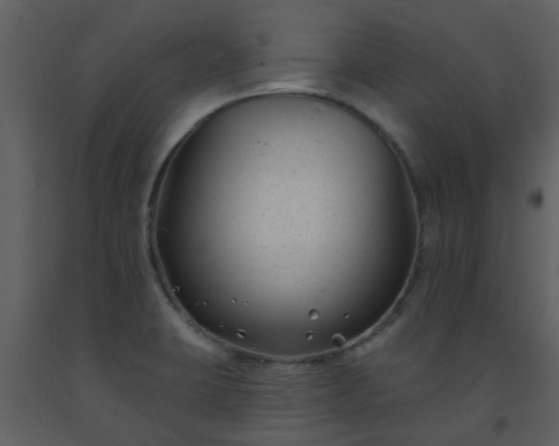 X0000093581423200710221454