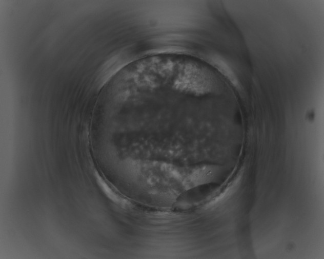 X0000093581425200710221454